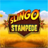 Slingo Stampede